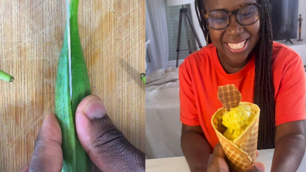 Man Makes Ice Cream Cone Using Okra, Orange & More; Netizens Have Mixed Reactions To This Experiment