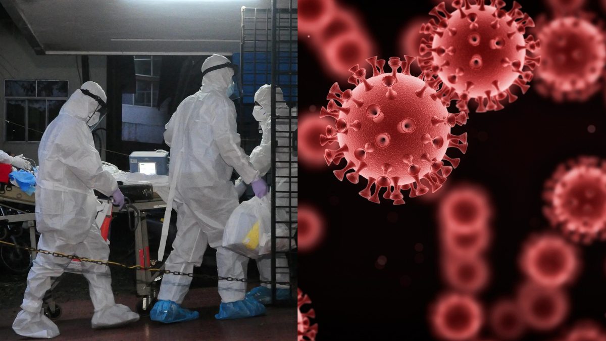 14-YO In Kerala Tests Positive For Nipah Virus; Here’s All You Need To Know About The Virus & Its Spread