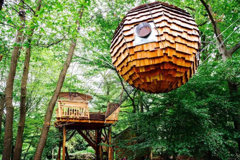 Pine-shaped treehouse
