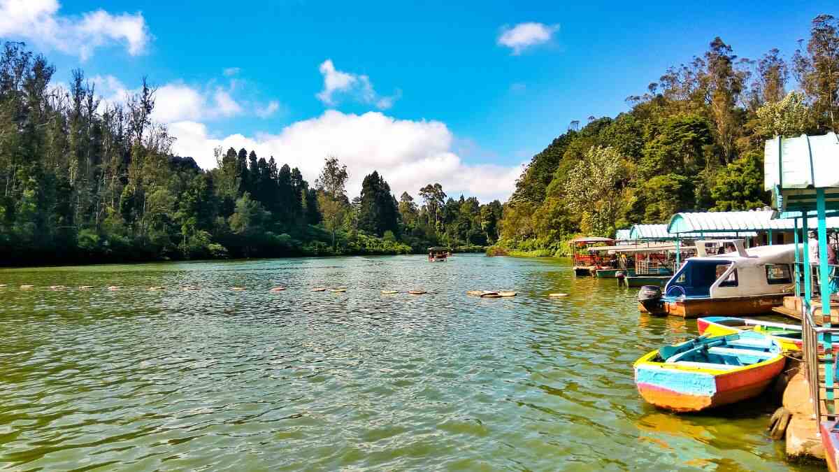 Starting At ₹10,140, IRCTC Announces A 6D/5N Ooty Travel Package; Details Inside