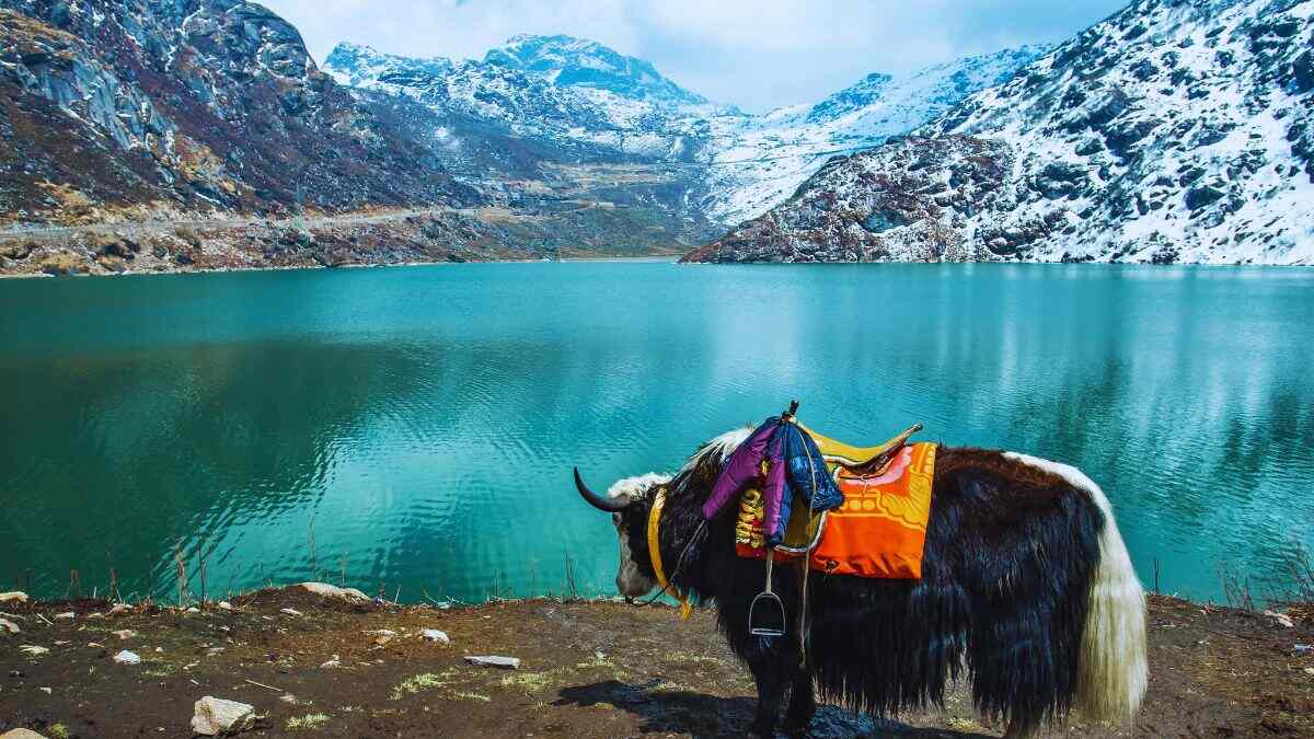 Starting At ₹53,900, IRCTC Announces 7D/6N Holiday Package For Gangtok, Pelling & Darjeeling