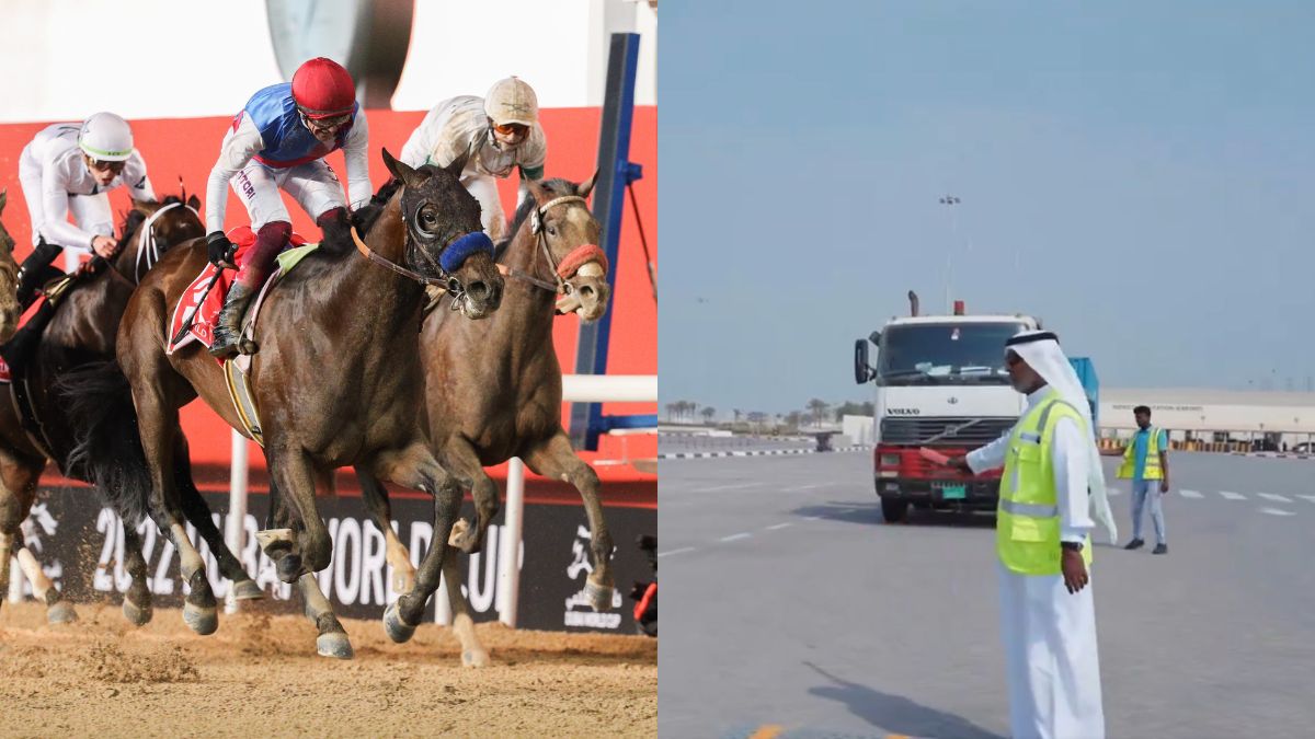 Dubai World Cup Dates To Abu Dhabi Mobility Awareness For Heavy Vehicle Drivers; 5 UAE Updates For You