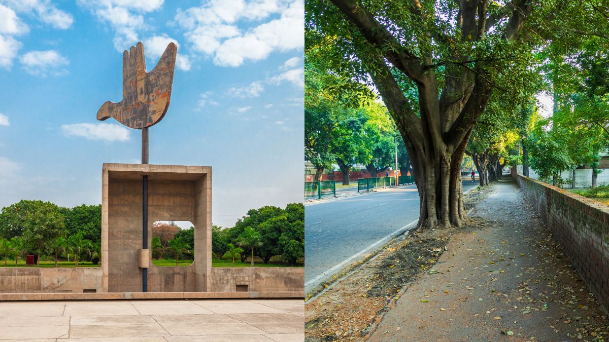 Chandigarh To Become First Indian City To Have A ‘Tree Map’ & Here’s Everything You Need To Know About It