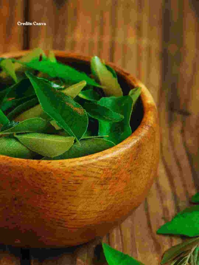 Living Abroad & Need Curry Leaves? Here’s An Easy Hack To Store This Herb For The Long Haul