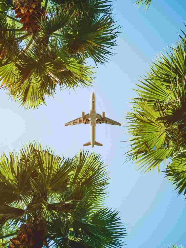 Cirium Reveals June 2024 On-Time Performance Reports; Saudia Ranks First