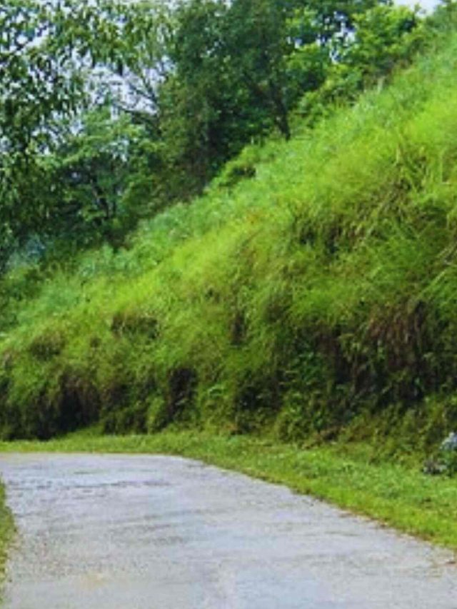 6 Offbeat Destinations In India To Enjoy Monsoon Season To The Fullest