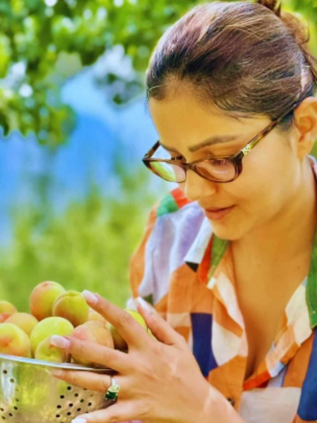 Rubina Dilaik Plucks Farm Fresh Peaches; Enjoys Juicy & Yum Fruits Rubina Dilaik Plucks Farm Fresh Peaches; Enjoys Juicy & Yum Fruits