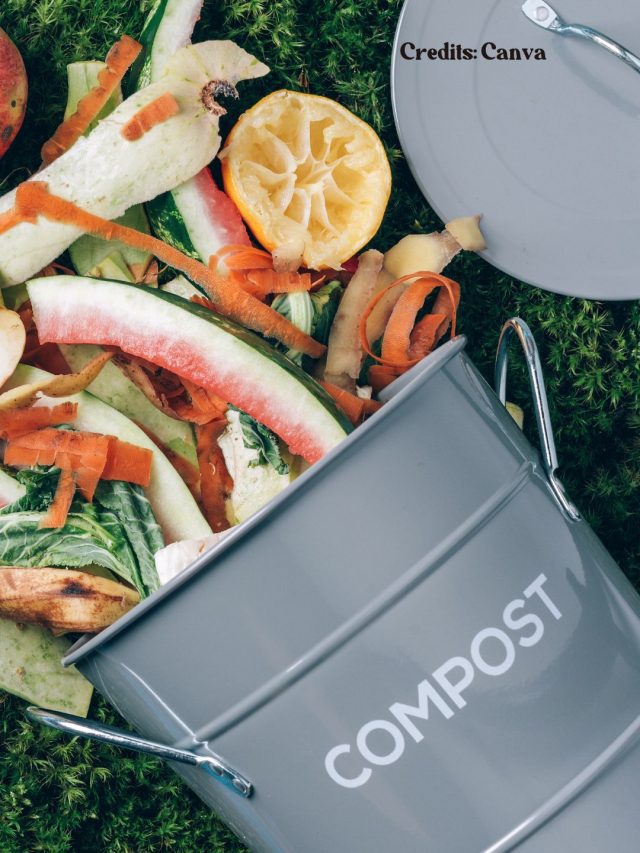 5 Ways Gen Z Is Affecting India’s Food Culture