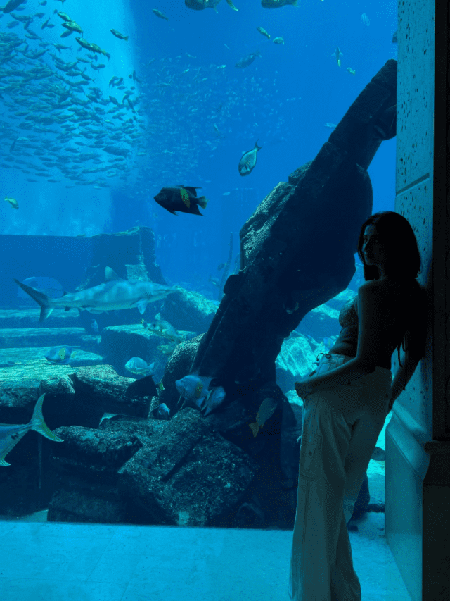 A Glimpse Into Palak Tiwari’s Dubai Diaries!