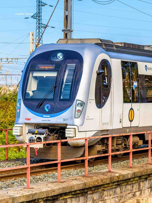 3,376 Trees To Be Axed Along Chandigarh Metro Corridor