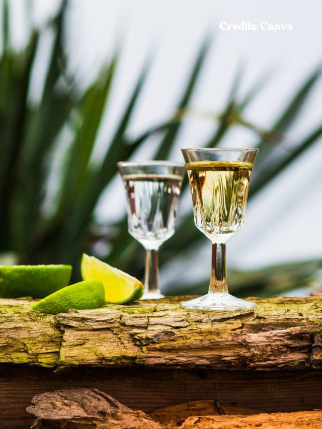 8 Unique Facts About Tequila You Probably Didn’t Know