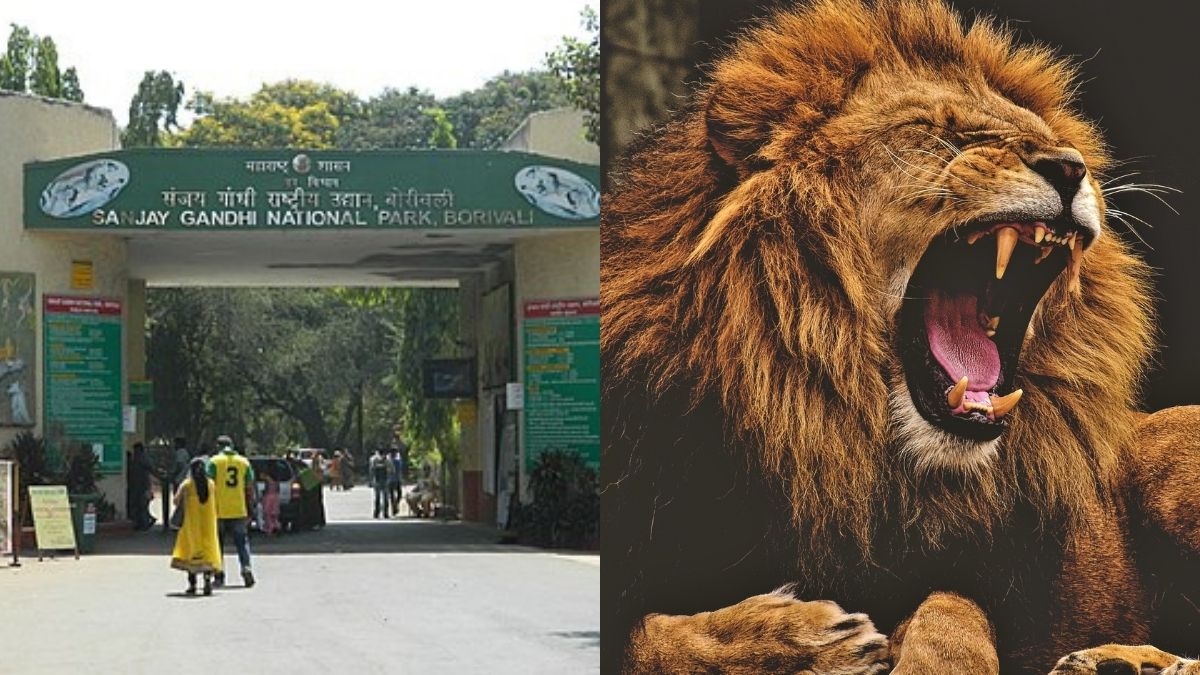 You Can Now Adopt A Wild Animal At Sanjay Gandhi National Park! All About The New Programme