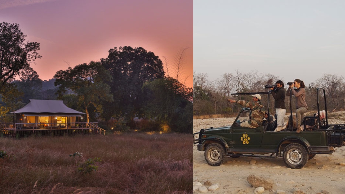 Discover Tiger Trails & Luxury At India’s Top 10 Tiger Safari Lodges With Unmatched Comfort
