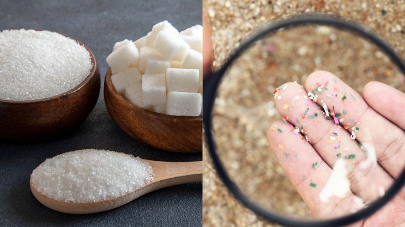 Indian Salt Sugar Microplastics