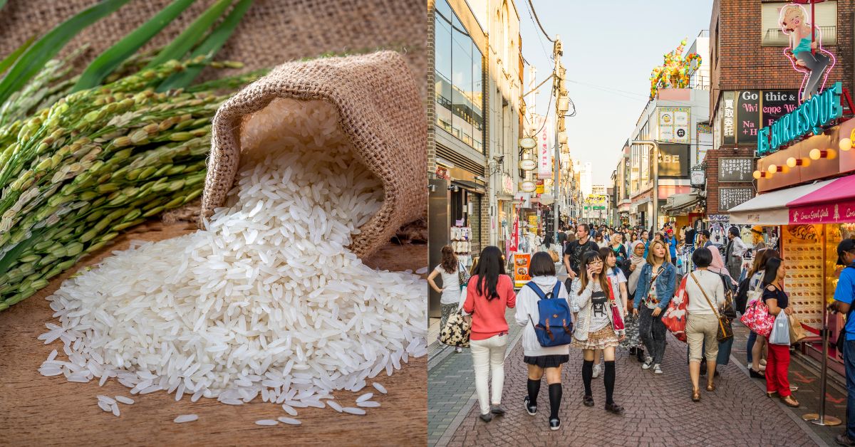 Tourists Eat So Much Rice In Japanese Dishes That It Has Lead To Drop In Rice Stocks In Japan; Demand Reaches 51,000 Tonnes