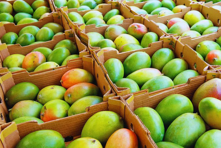 Bengaluru Airport Mangoes