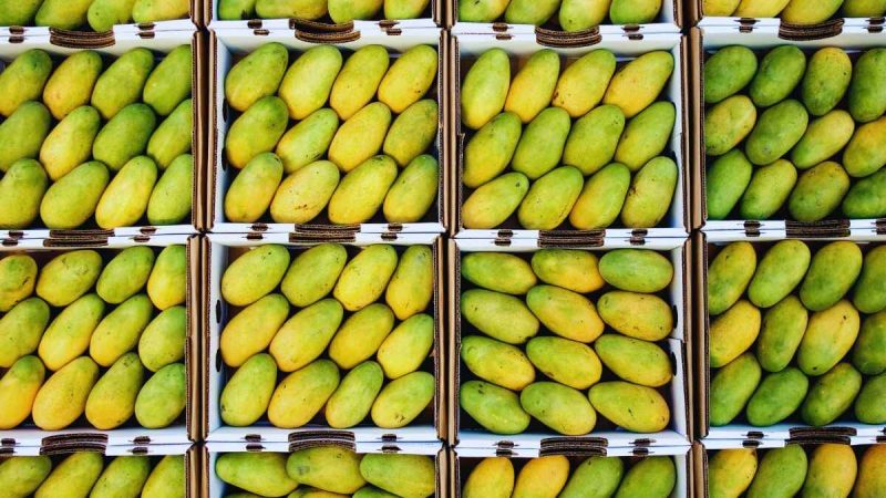 Bengaluru Airport Mangoes