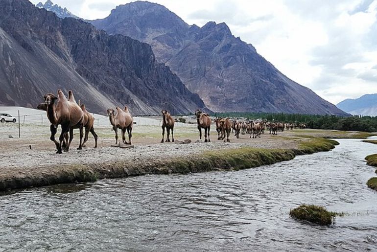 IRCTC Ladakh Package