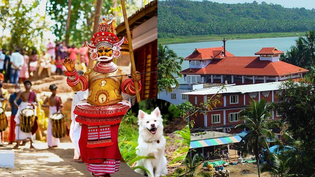 Dogs Are Worshipped At This Temple In Kannur & Their Naming Ceremony Is A Special Ritual