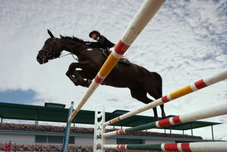 Show jumping Competition