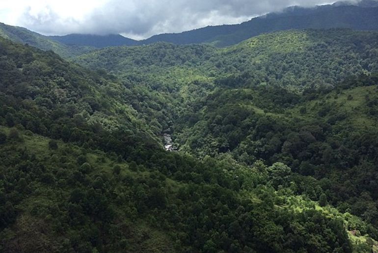 Silent Valley National Park