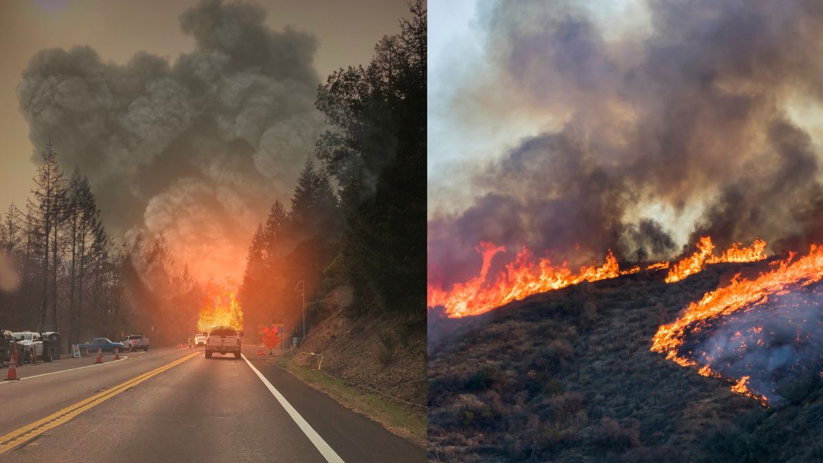 California Wildfire Becomes Fourth-Largest in State History, Unrelenting Heatwave Fuels Its Spread