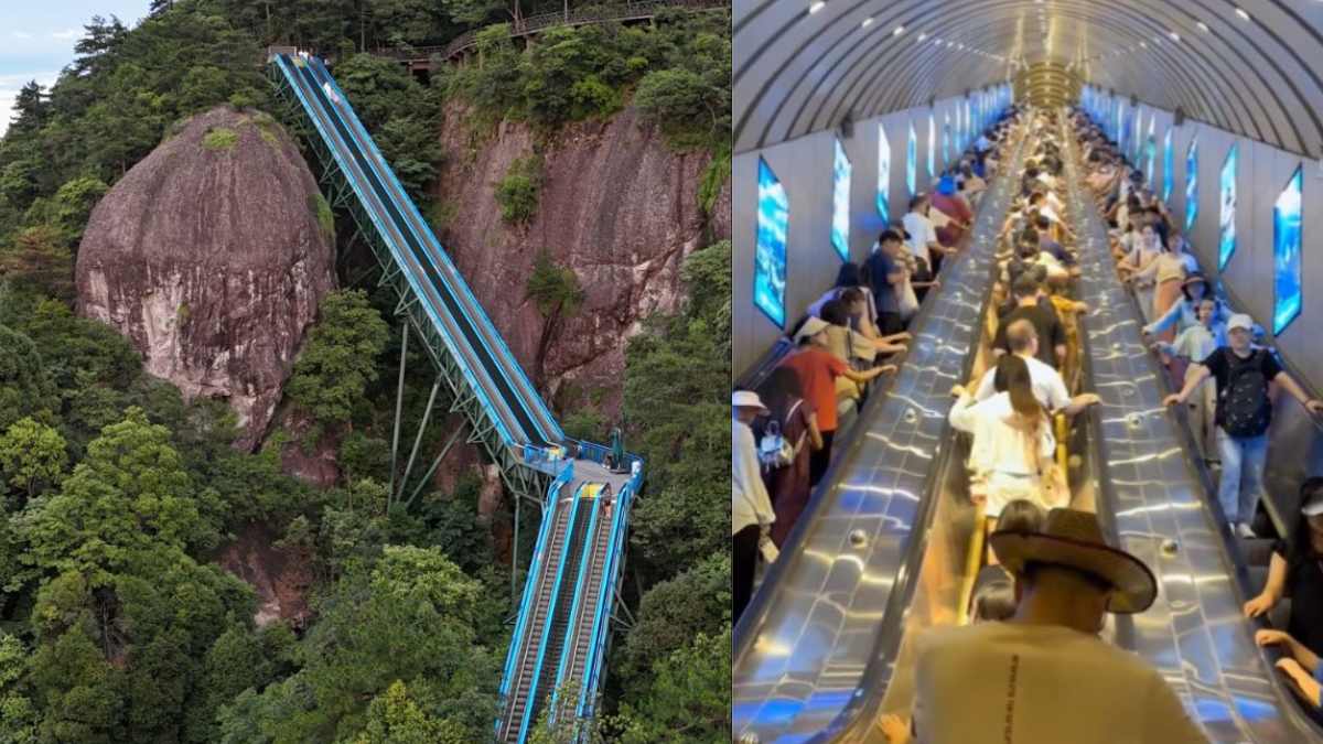 China Has Escalators On Mountains To Make Scenic Views More Accessible; Netizens Aren’t Onboard With It 