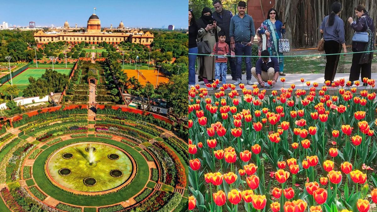 Spring Cheer Returns To Delhi As Amrit Udyan Reopens At Rashtrapati Bhavan For Free; Details Inside