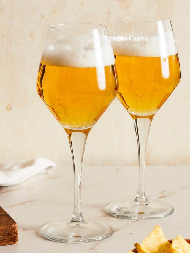 Lager Vs Ale Vs Pilsner: 8 Things To Know About Them Lager Vs Ale Vs Pilsner: 8 Things To Know About Them