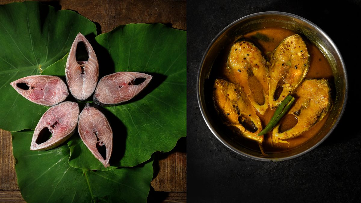 From Mughals To British, How Hilsa Fish Still Remains The Iconic ...