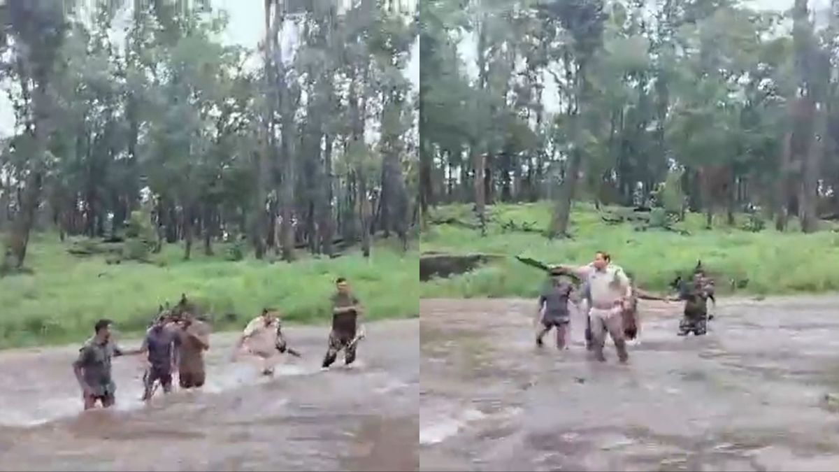 Watch: Kanha Tiger Reserve’s Security Personnel Cross A Stream Of Water Amid Routine Monsoon Patrolling