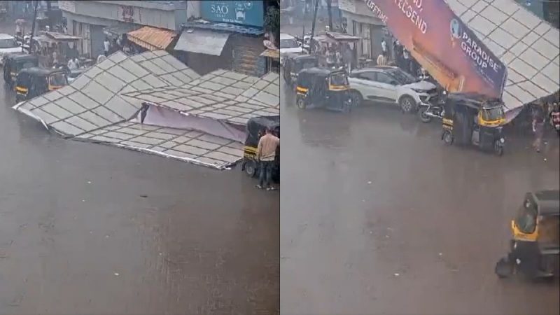 large hoarding collapses