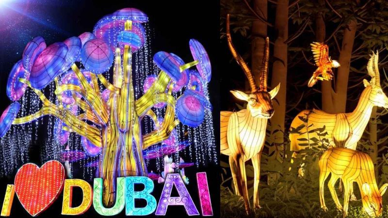 Dubai Garden Glow