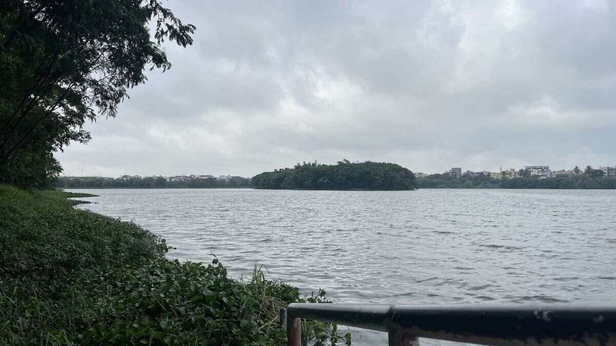 From Going For A Run To Morning Walks, Bengaluru’s Agara Lake Is A Must-Visit; Here’s All About It