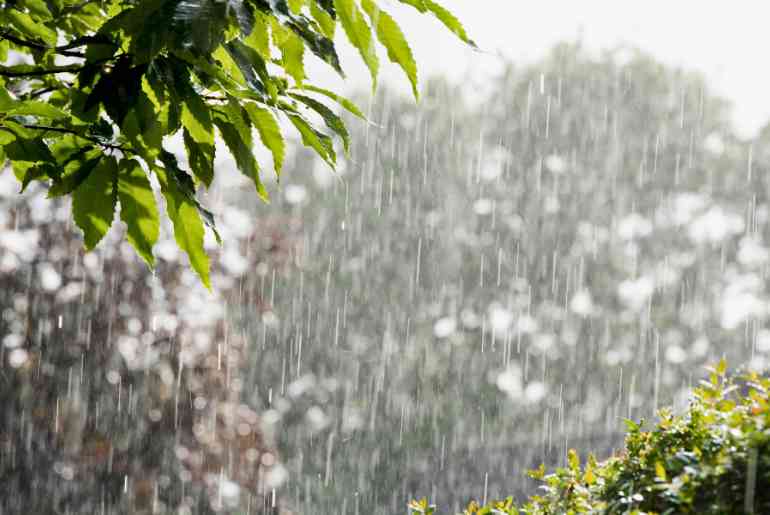 Mumbai rain