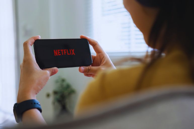 Netflix India Visa Violations