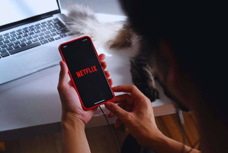 Netflix India Visa Violations