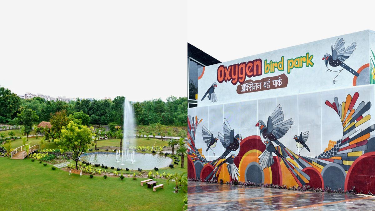 All You Need To Know About Oxygen Bird Park, The First-Of-Its-Kind Eco ...