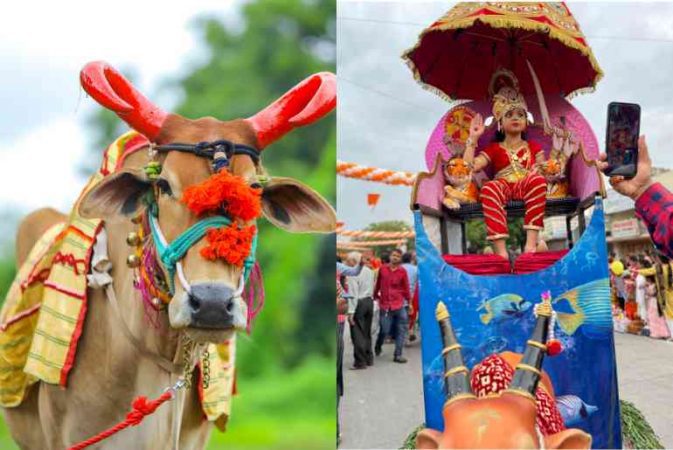 What Is Nagpur’s Tanha Pola Festival? History, Significance ...