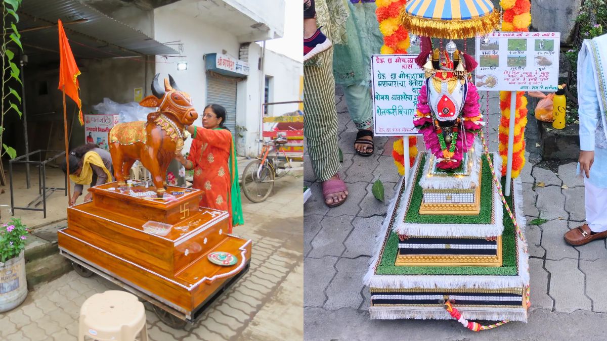 What Is Nagpur’s Tanha Pola Festival? History, Significance & Everything You Need To Know About This Unique Festival!