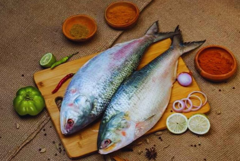 Bangladesh Padma Hilsa