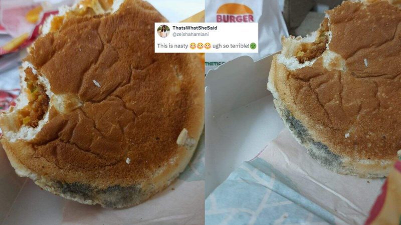 Mould In Burger