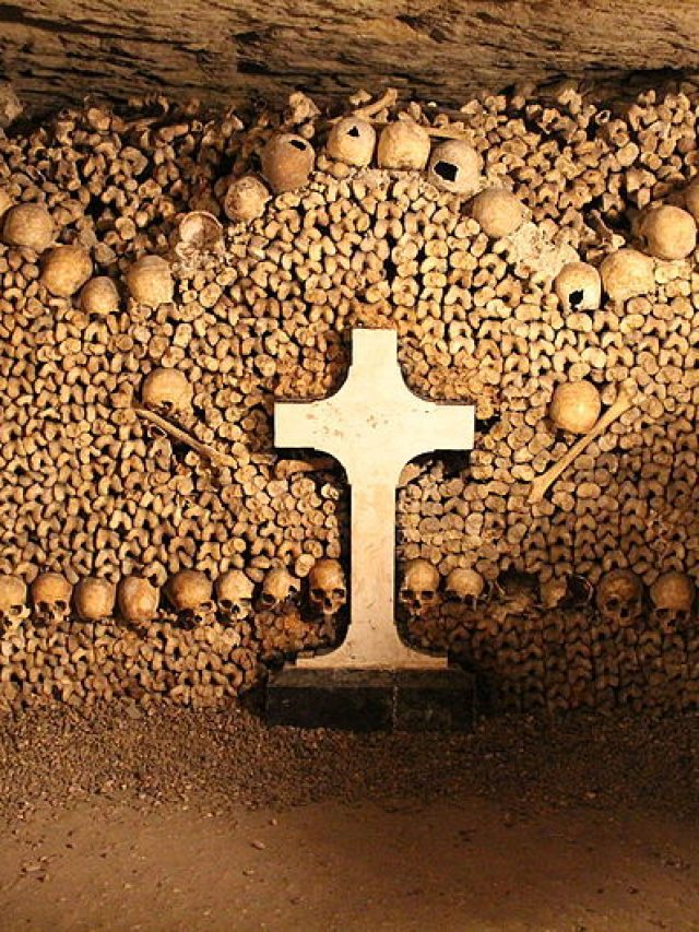 From History To Visiting The Catacombs Of Paris, Everything You Need To Know About The Bone-Filled Labyrinth
