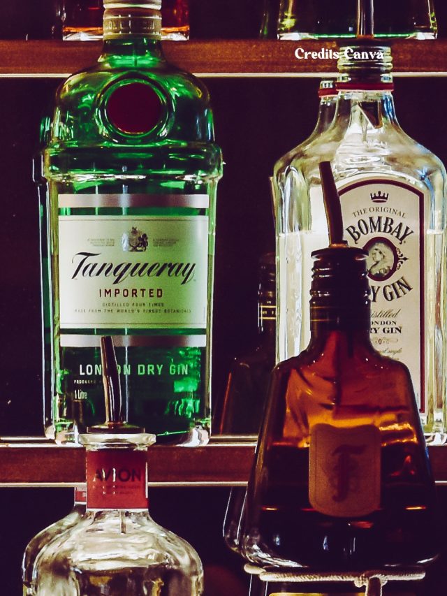 What India Is Drinking 2024: 8 Top Gin Brands Popular In Delhi