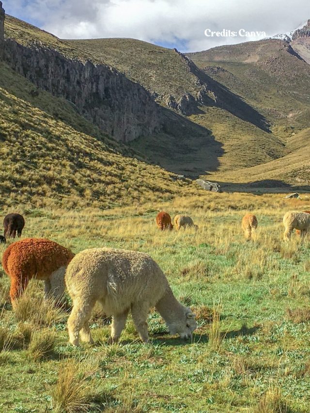 8 Amazing Experiences Waiting For You In Ecuador