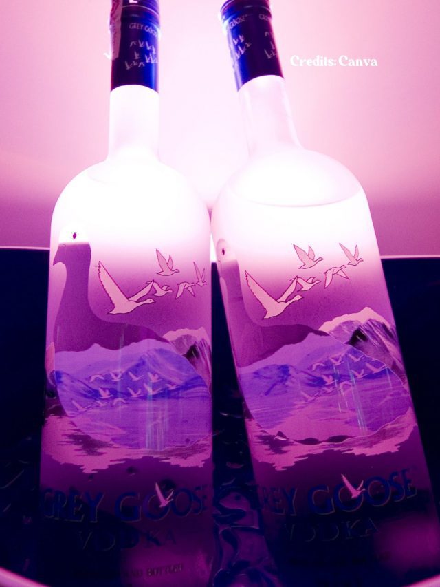 What India Is Drinking 2024: 8 Top Vodka Brands Popular In Delhi