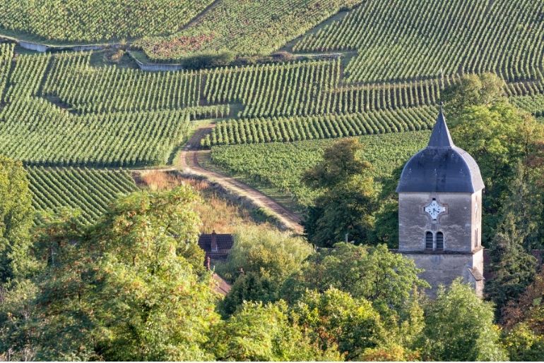 France Vineyards