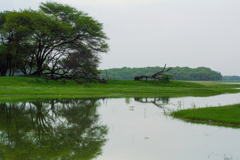 gujarat