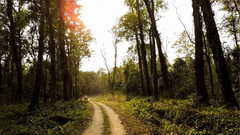 lataguri nature park