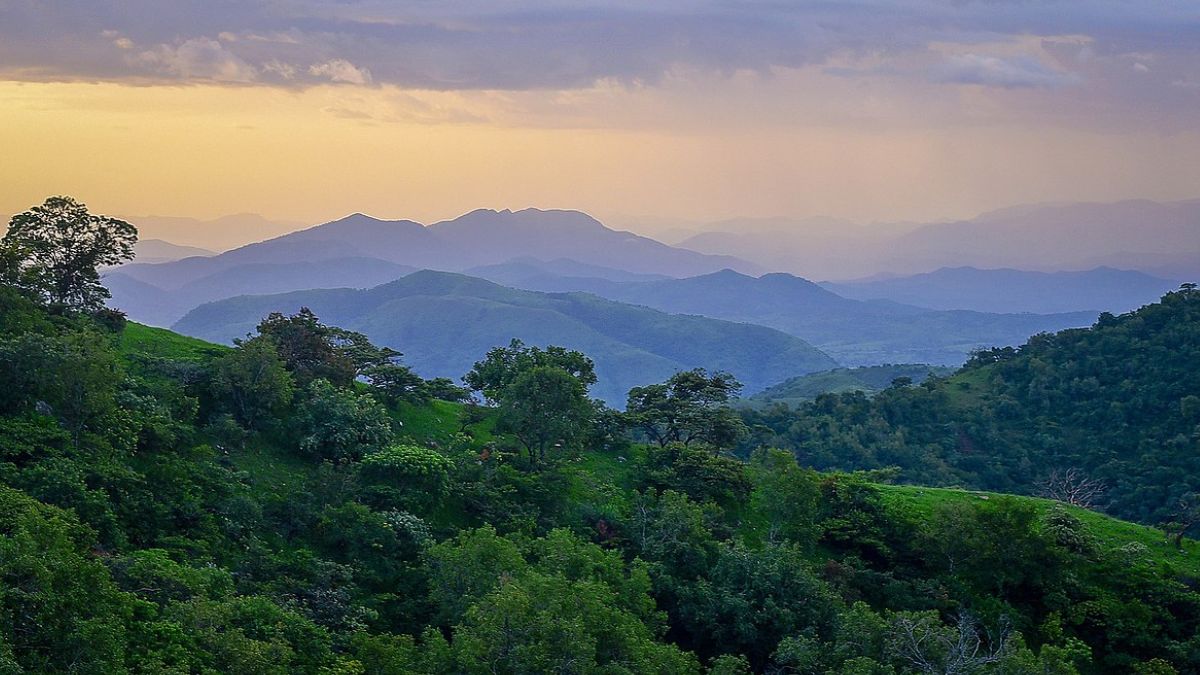 UNESCO To Recognise Nigeria’s Gashaka Gumti National Park As A World Heritage Site; Here’s All You Need To Know About It